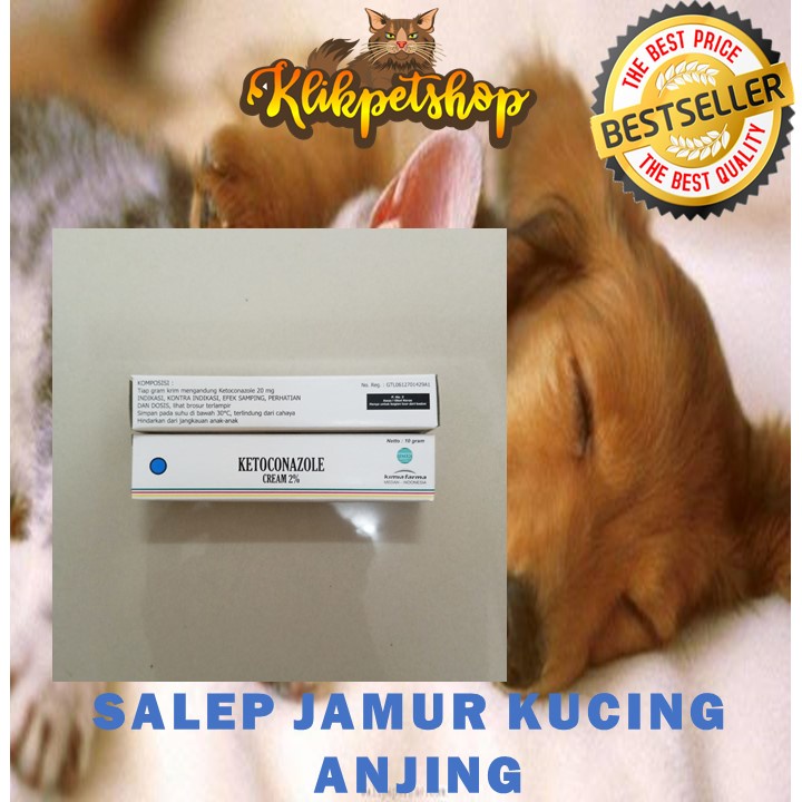 Salep Jamur Kucing Anjing Ketoconazole 10g Ketokonazole Salep