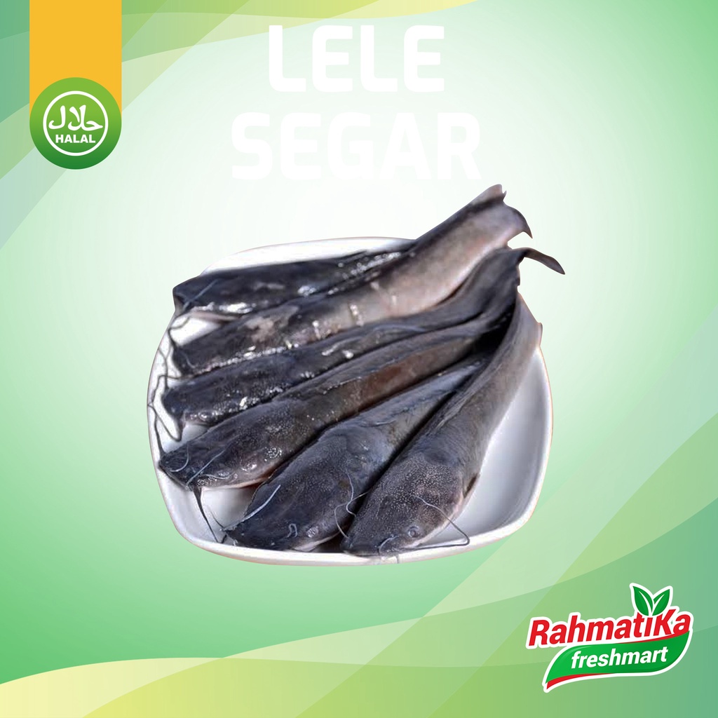 Ikan Lele Segar 1 Kg