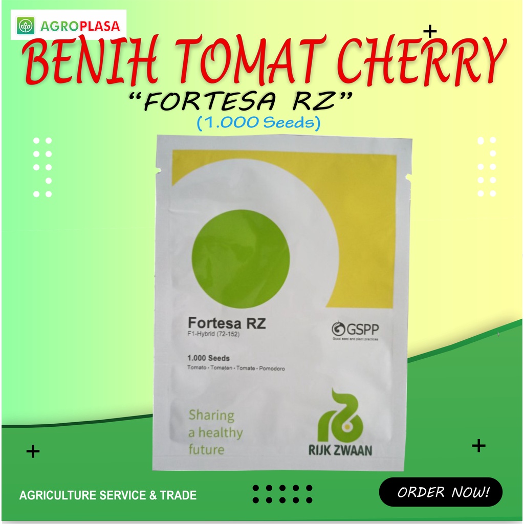 Benih Tomat Cherry Fortesa RZ Rijk Zwaan Isi 1000seed