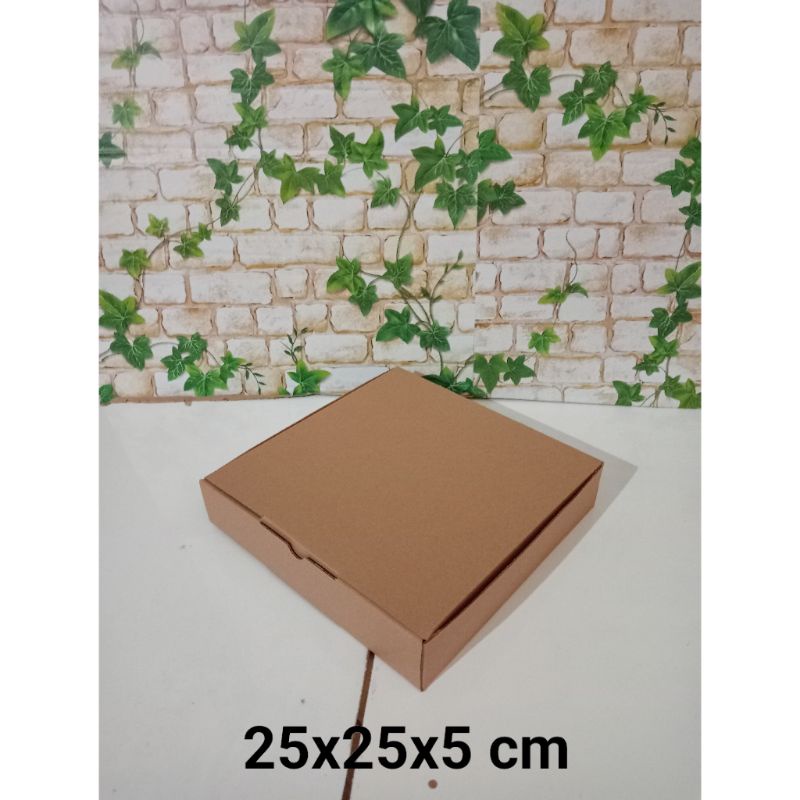 

KARDUS UK. 25x25x5 CM....DIE CUT KARTON BOX UNTUK KOTAK BAJU-AKSESORIS-SOUVENIR DLL MODEL BOX PIZZA