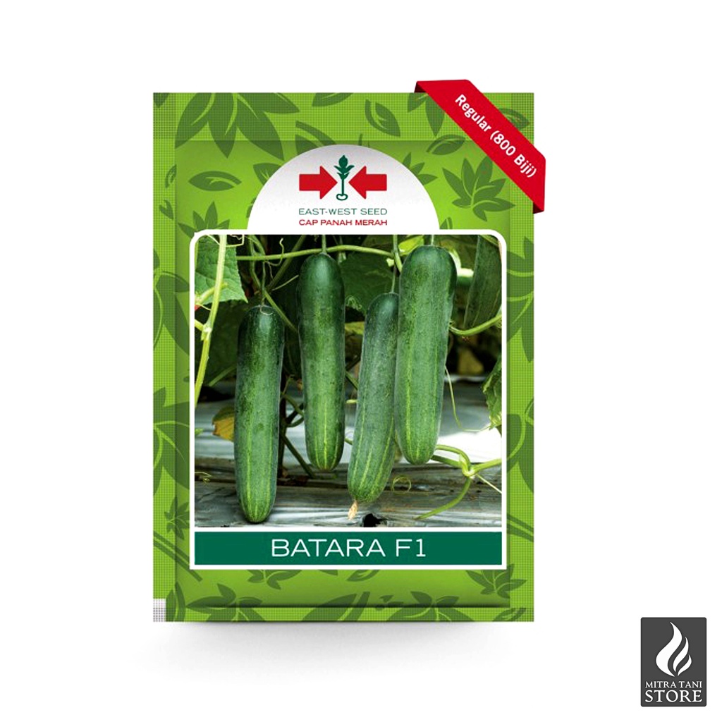 Batara F1 Benih Mentimun Hibrida Cap Panah Merah 800 Butir