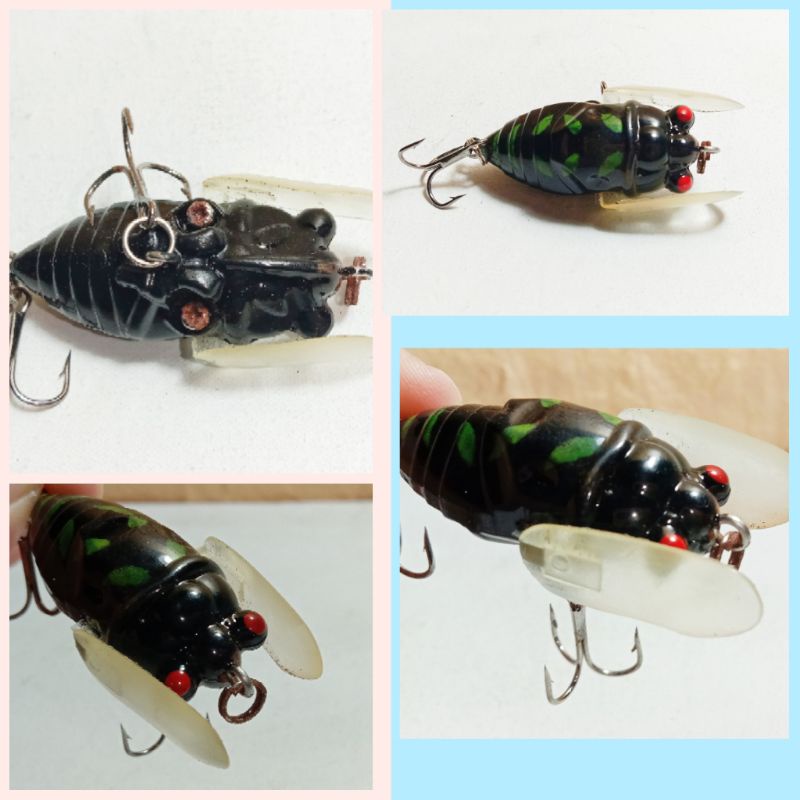 Umpan casting serangga