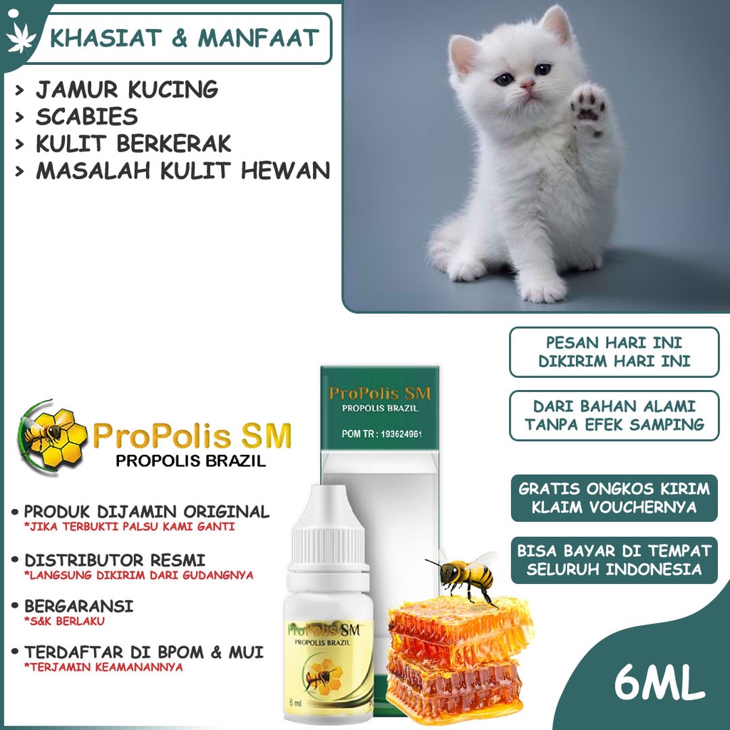 Obat Tetes Jamur Kucing Scabies Telinga Anjing Kelinci Kulit Hewan Berkerak Buku Rontok Impetigo Kud