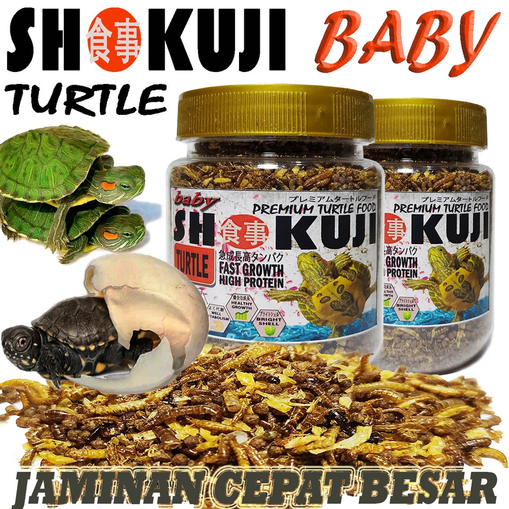 SHOKUJI TURTLE BABY FOOD PAKAN PELET RES BRAZIL ALIGATOR KURAKURA AMBON DAMER MONBI PIPUT TURTLES MA