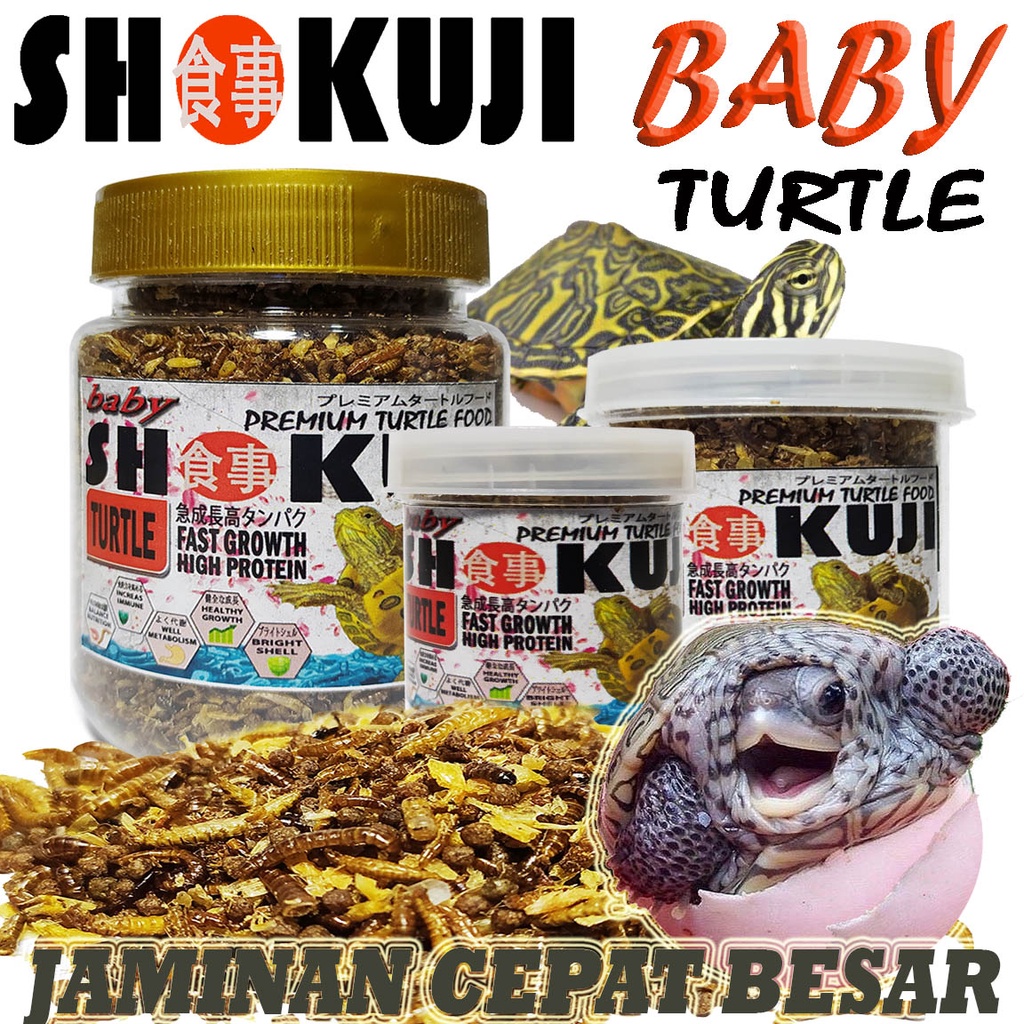 SHOKUJI TURTLE BABY FOOD MAKANAN PELET RES BRAZIL ALIGATOR PAKAN KURAKURA AMBON DAMER CST PIPUT RAZO