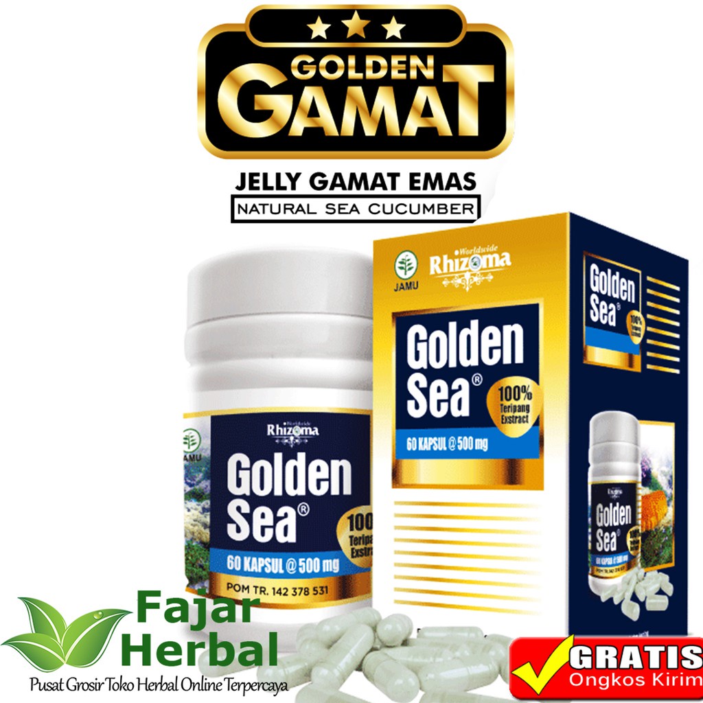 Golden Sea Asante Rhizoma Gamat Emas