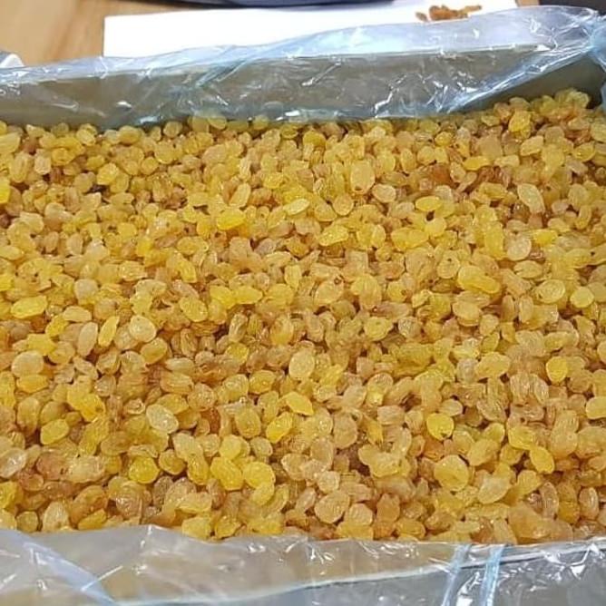 

KISMIS KISMIS MUTIARA MANIS 1KG//KISMIS MANIS OLEH OLEH HAJI DAN UMROH EL09I09A82L