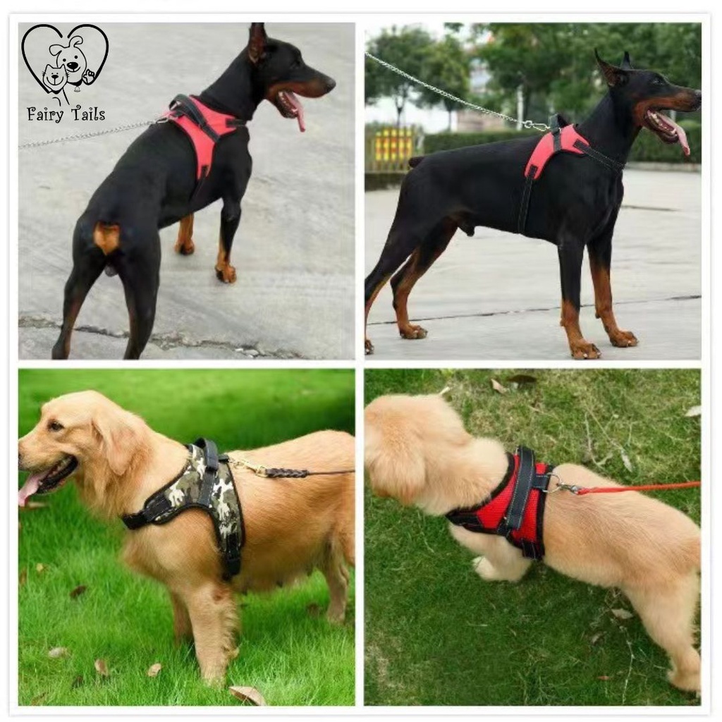 Harness Tali Tuntun Anjing Kucing Rompi Bahan Nilon Adjustable / Pet Harness Breathable Vest with Leash for Dog and Cat