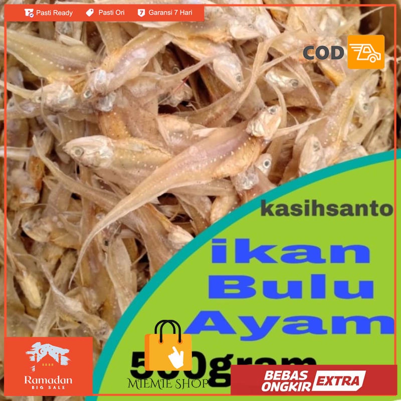 

ikan asin bulu ayam-500gram