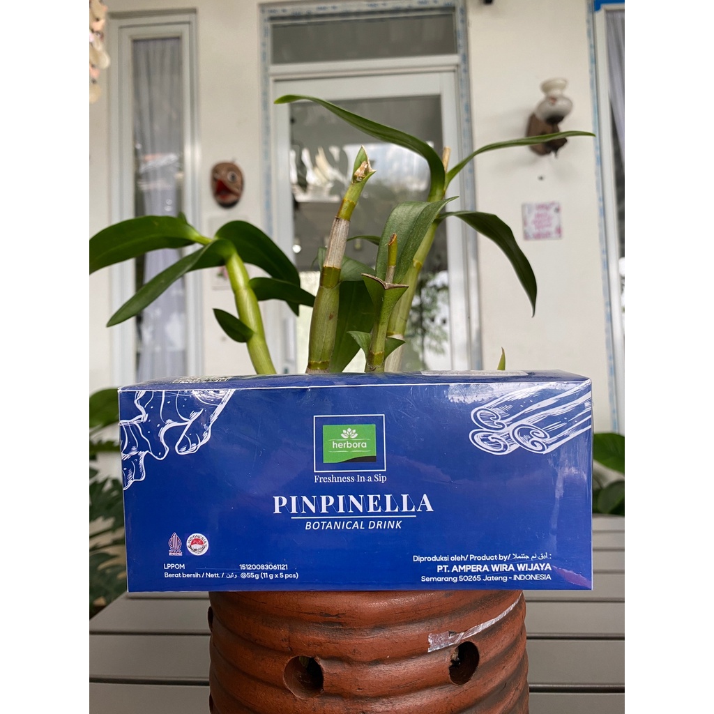 

Pinpinella Botanical Drink Herbora Box