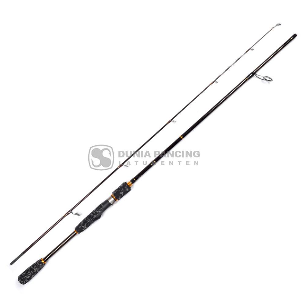 Joran Spinning Kaizen Iwaki