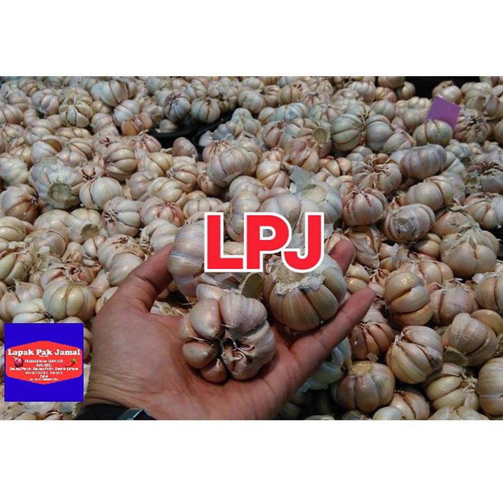 

Terbaru Bawang PUTIH BIASA/HONAN - 500 Gram - LPJ