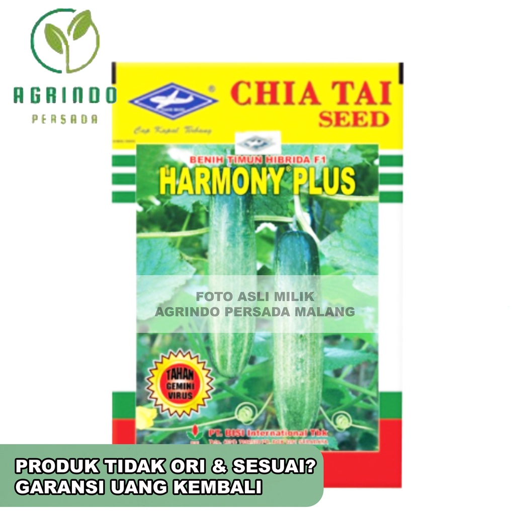 Benih Timun Harmony Plus 20 gram | Harmony plus Cap Kapal Terbang 20gram