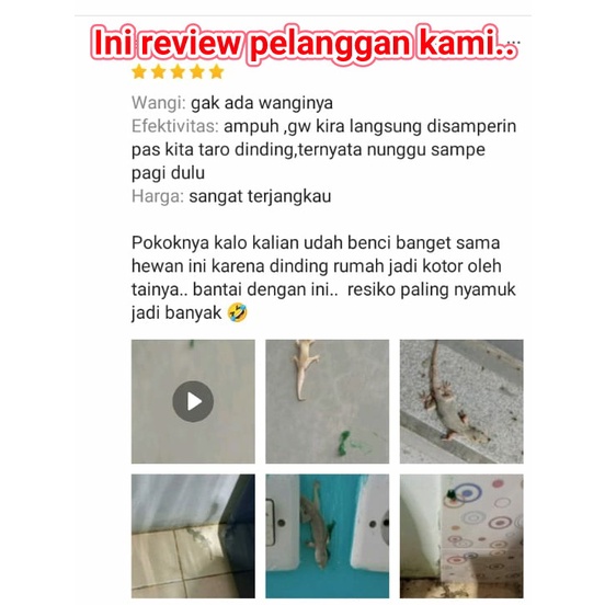 RACUN PEMBASMI CICAK DAN TOKEK RACUN OBAT PEMBASMI CICAK SUPER AMPUH