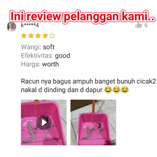 RACUN PEMBASMI CICAK PALING AMPUH