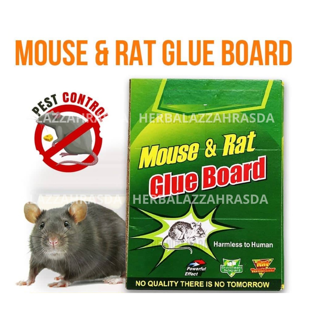 Papan Lem Tikus Masal Besar Jumbo Ampuh Massal Umpan Tanpa Alat Penangkap Murah - MOUSE RAT GLUE