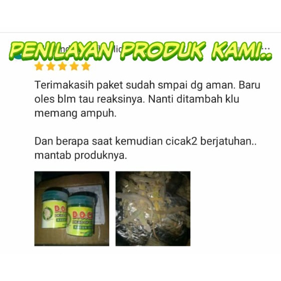 RACUN PEMBASMI CICAK PALING AMPUH OBAT CICAK HERBAL ALAMI ORIGINAL ASLI