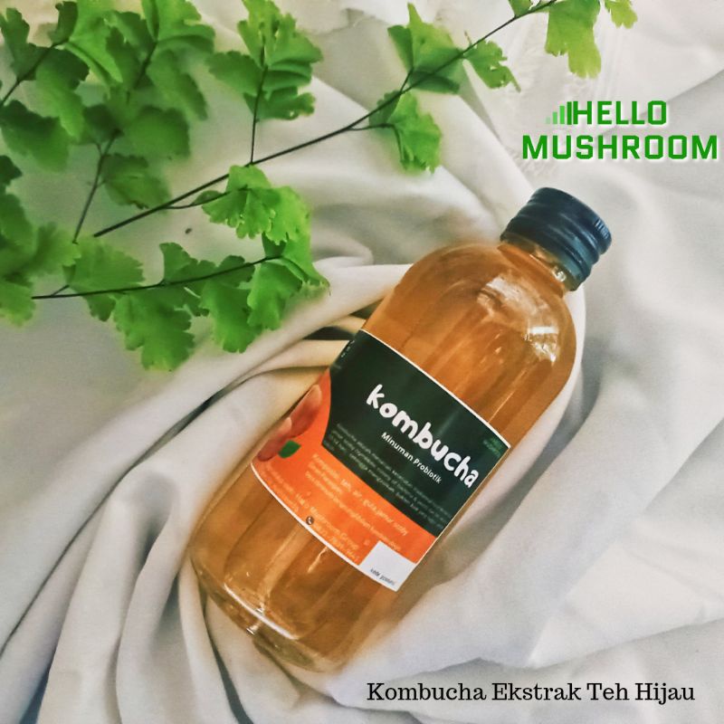 

kombucha ekstra teh hijau