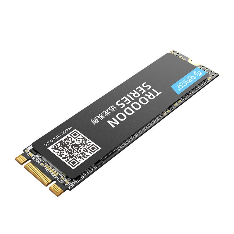 Orico N300-1TB SSD Soket M.2 SATA 2280 TROODON SERIES 3D NAND Flash