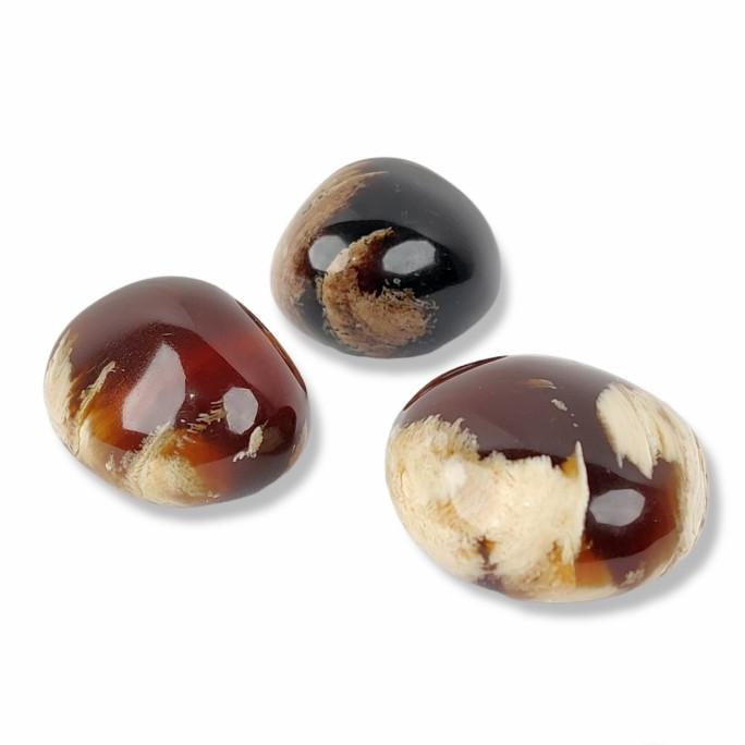 Batu Akik Getah Katilayu Amber Motif Fosil Kayu Garansi Asli