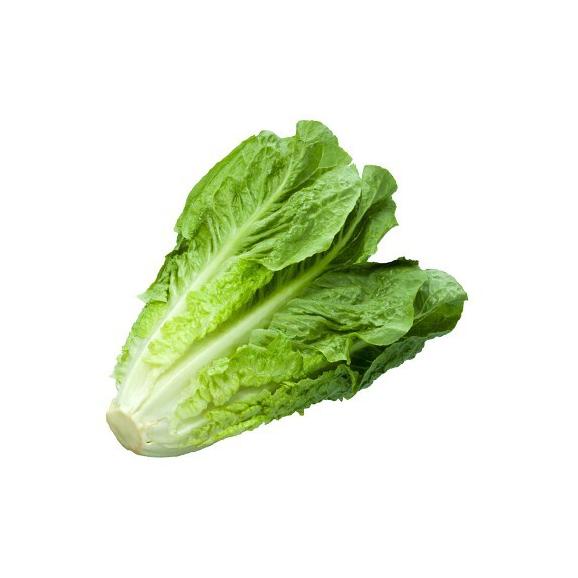 

Terbaru FCW - Romaine Lettuce 250 Gram