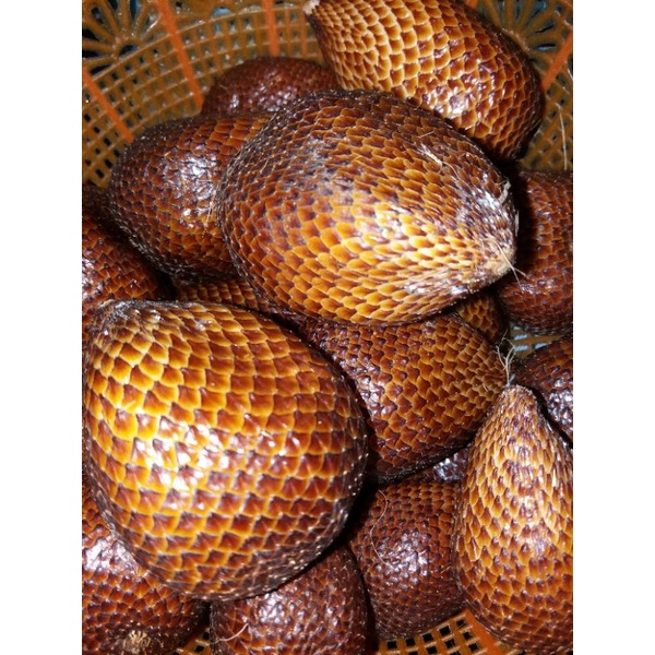 

salak pondoh super organik petik dari kebun sendiri