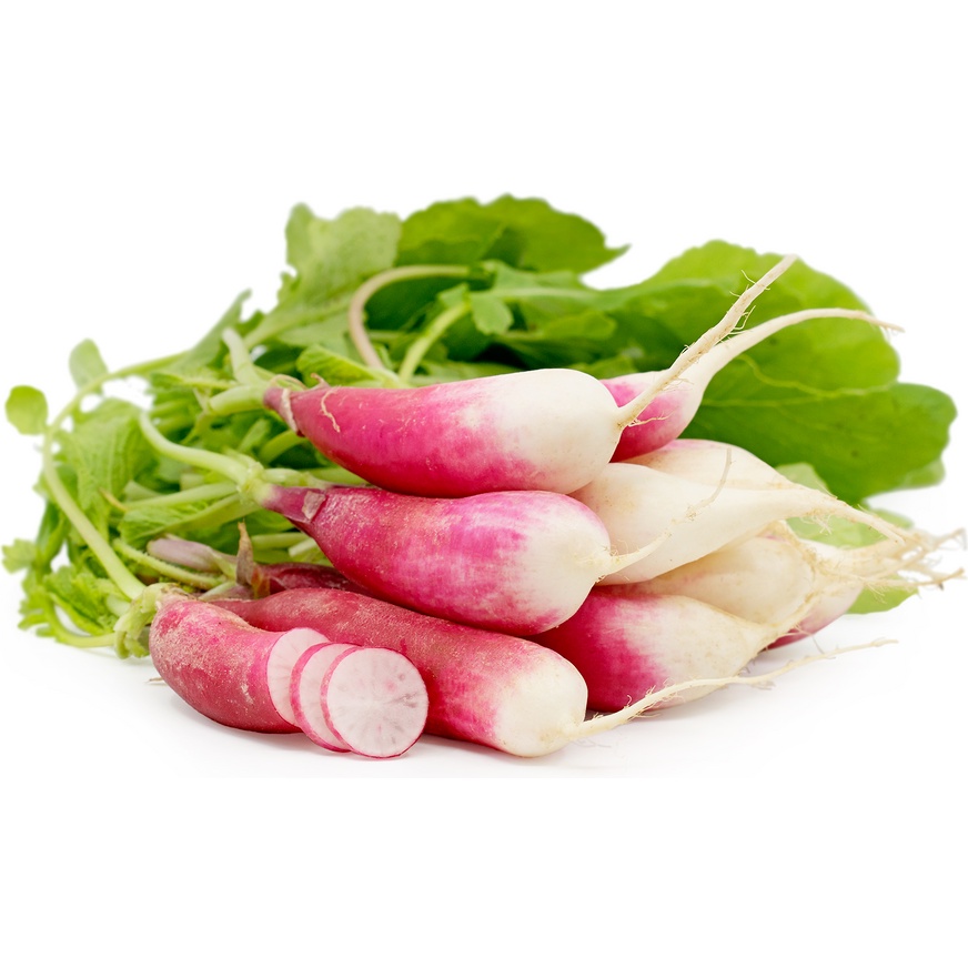 Benih Bibit Biji - Lobak Radish French Breakfast 3 Raphanus sativus Seeds - IMPORT