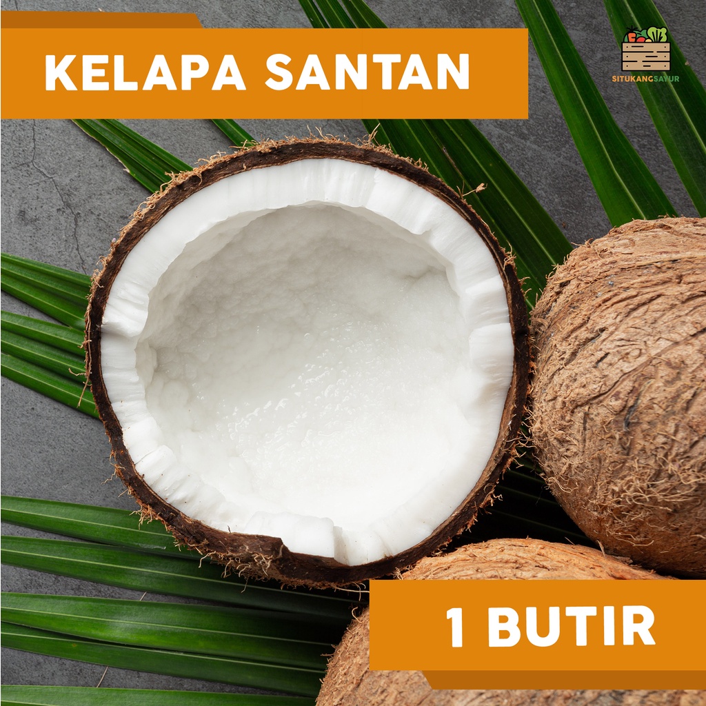 

Kelapa Santan | 1 butir (Kota Bandung & Sekitar)