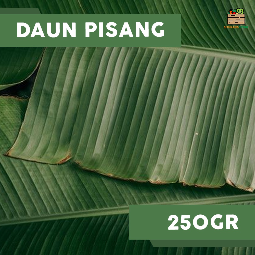

Daun Pisang