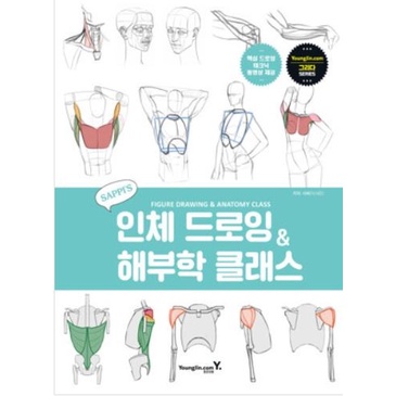 Figure Drawing and Anatomy Class Saepi Korea Manga Anime Tutorial Book