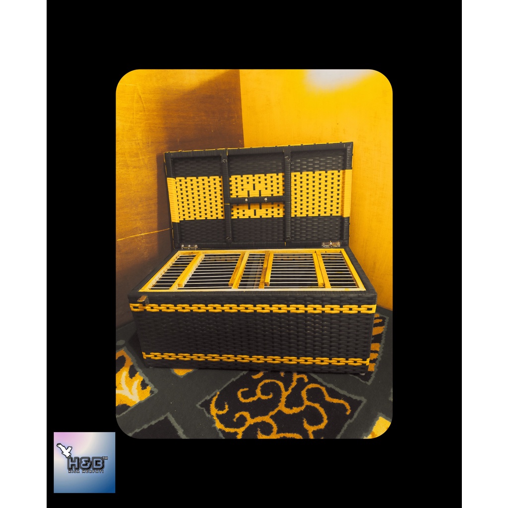 Kisa Merpati  2 Pintu Kisa Burung Dara Klepekan