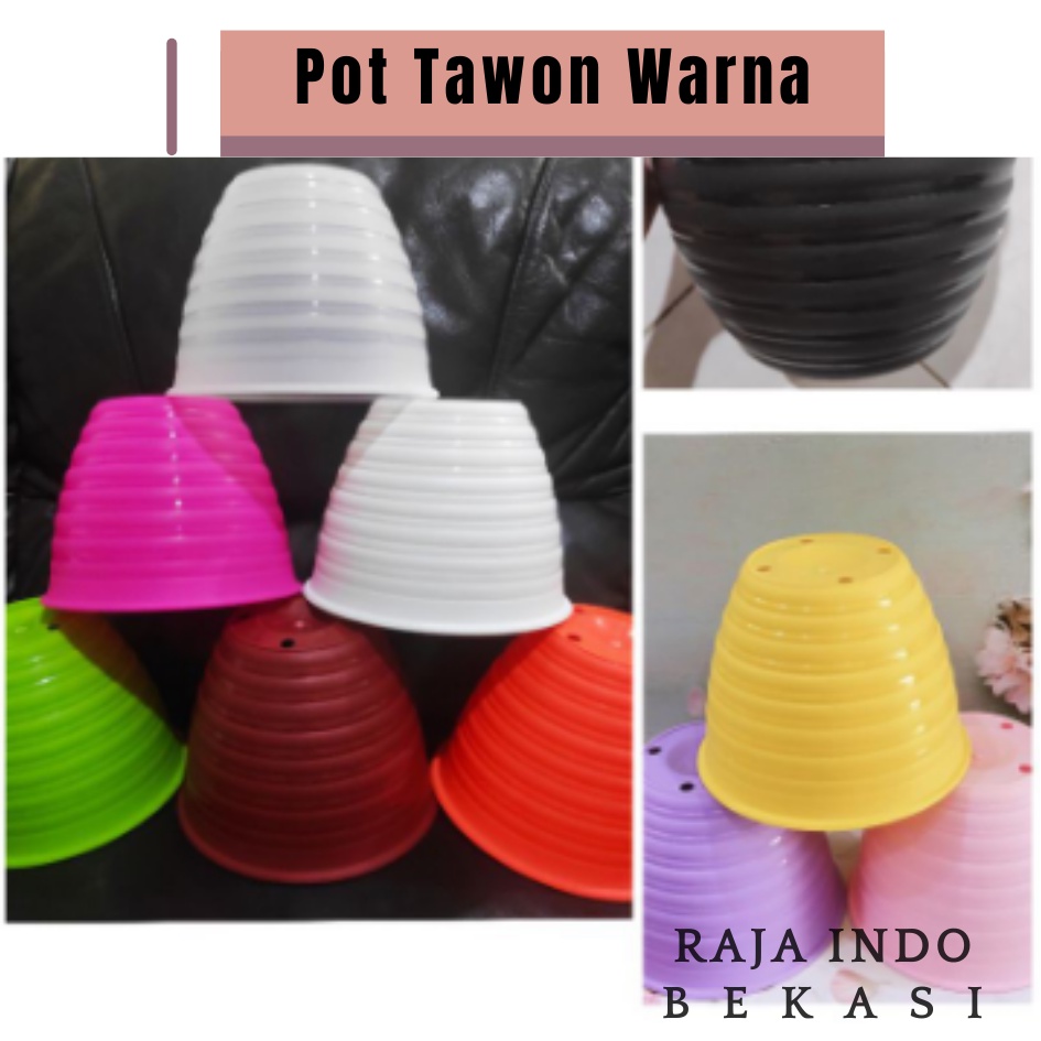 Pot Tawon Banyak Warna Putih Pink Kuning Hijau Biru Orange Hitam Ungu Ukuran 12 15 cm