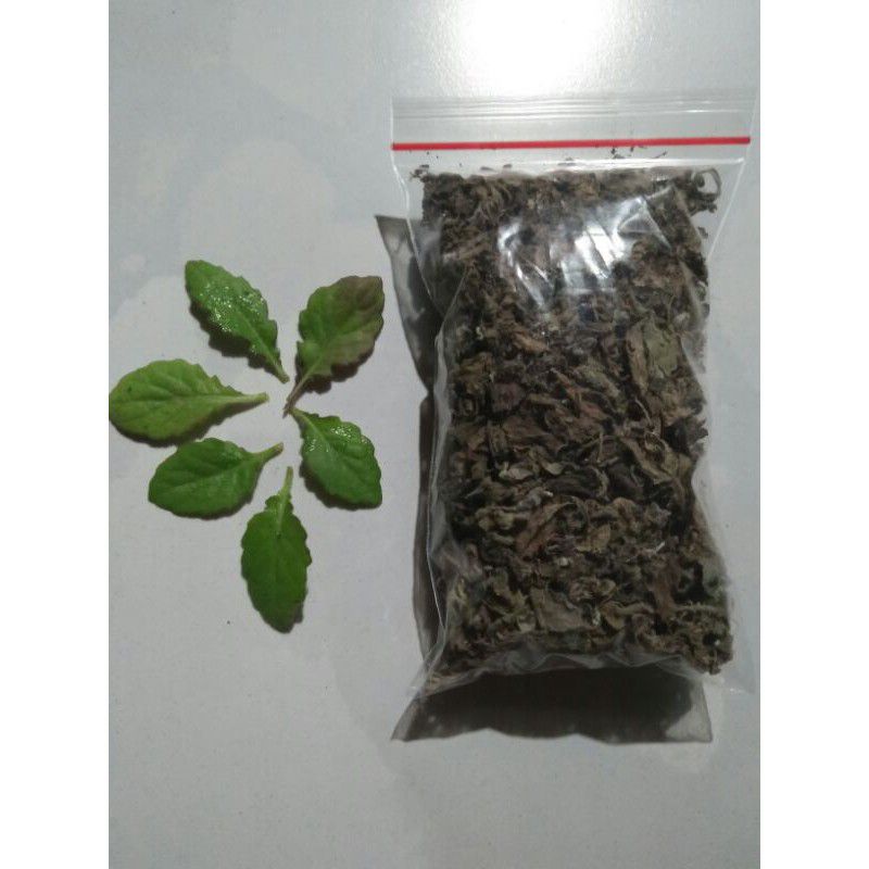 

Daun Dewa Kering 100% original tanpa pengawet harga grosir