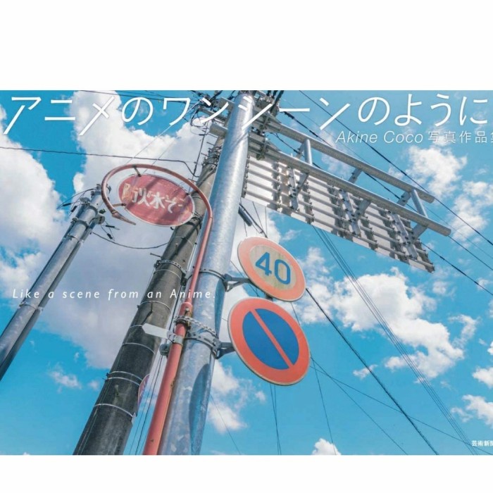 Terlaris Akine Coco - Like Scene From Anime Background Real Photography Artbook