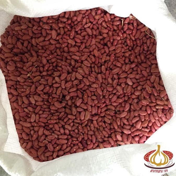 

STOK TERBATAS KACANG MERAH JOGO PER KG