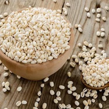 

PRODUK BARLEY BIJI JALI JALI ORGANIK 1000GR / 1KG