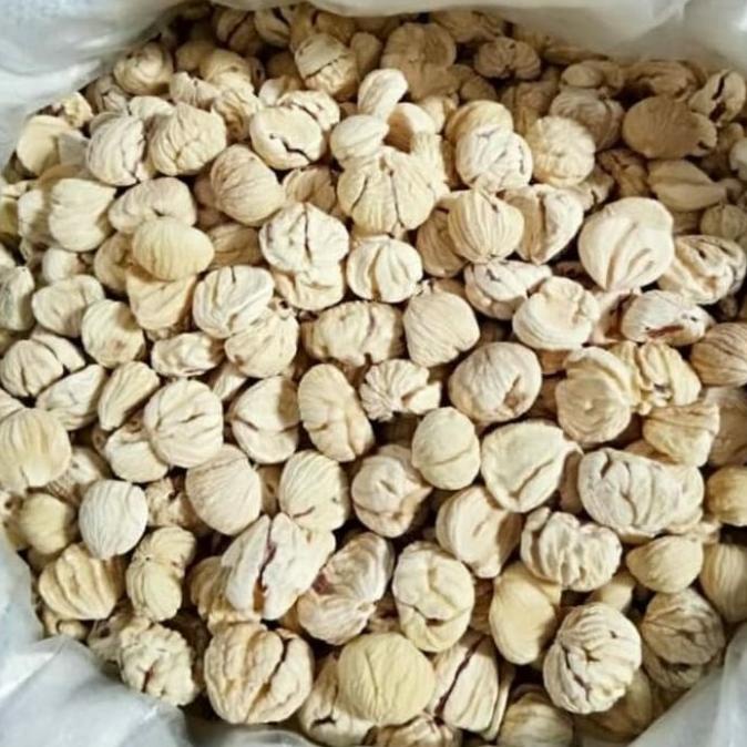 

PRODUK LAKCI / KACANG BERANGAN / CHESTNUT KERING