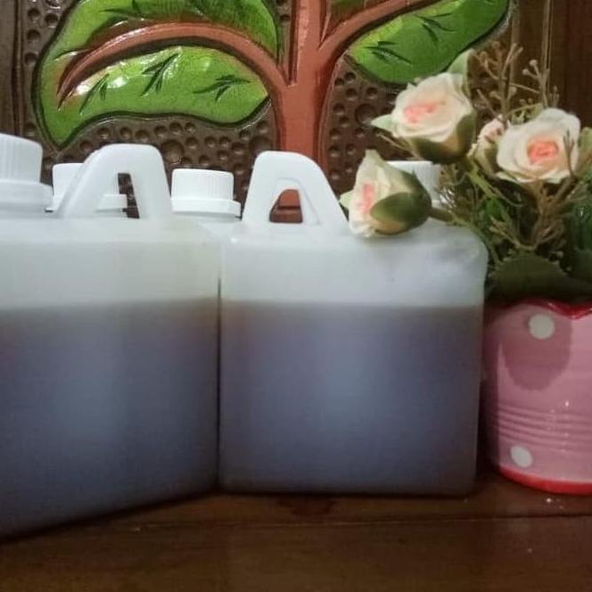 

Madu Kelulut Trigona Klanceng 500 Gram Nektar Bunga Hutan Obat Alami Redthiny