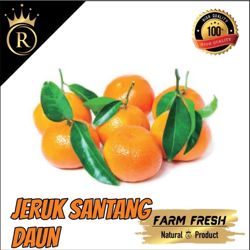 

BUAH JERUK SANTANG DAUN 500g