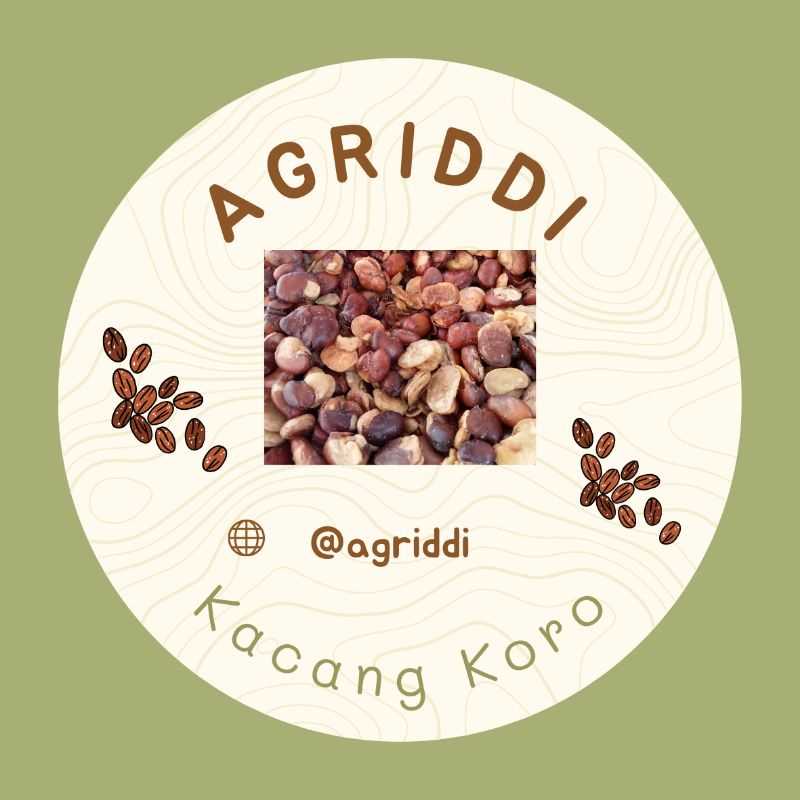 

Kacang Koro