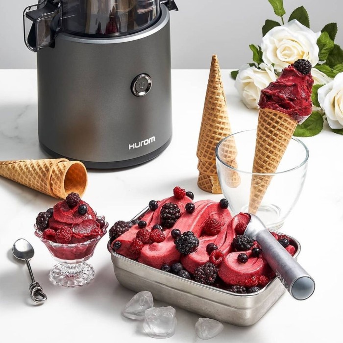 Hurom Slow Juicer H300 E All In One Strainer Innovation Vk0398