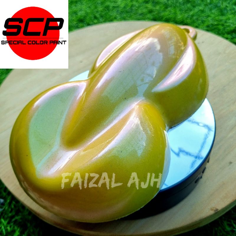 Cat bunglon kuning SCP04 by SCP