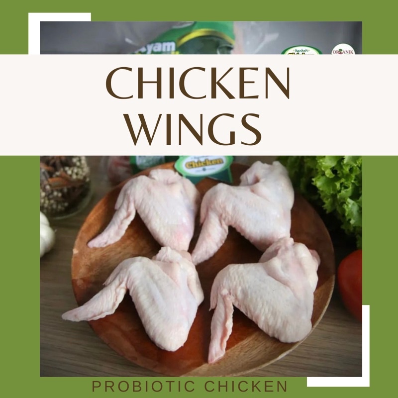 

Chicken Wings (sayap ayam) Berkah Chicken 1kg Organic Halal