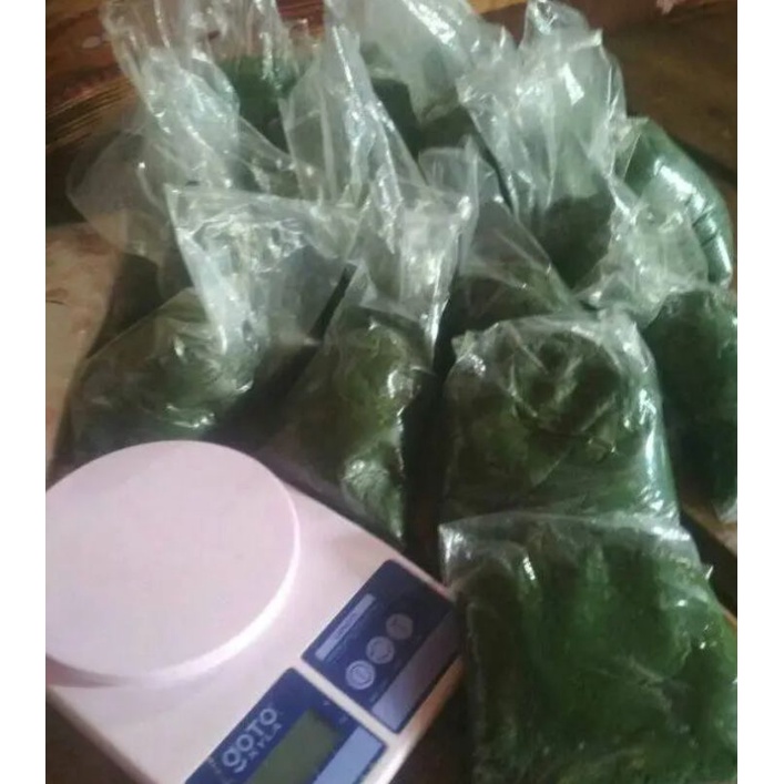 UMPAN IJO - GT LELE 250gr