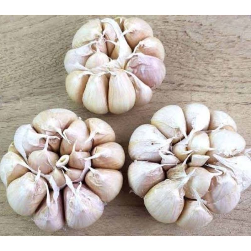 

bawang putih biasa super premium glosir murah,segar(dijamin sudah disortir) 500g