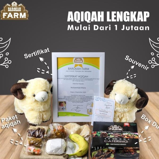 

Promo paket catering aqiqah perempuan 50 box