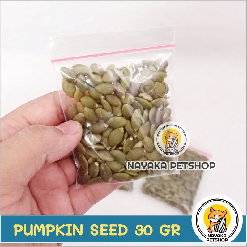 Kuaci Hijau Kupas Tanpa Kulit 30 gr Snack Hamster Pumpkin Seed Biji Labu Cemilan Ekstra Food Camilan Hewan