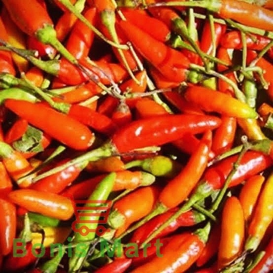 

Berbagai Cabai Pedas Segar Dan Fress Netto 250 Gram.