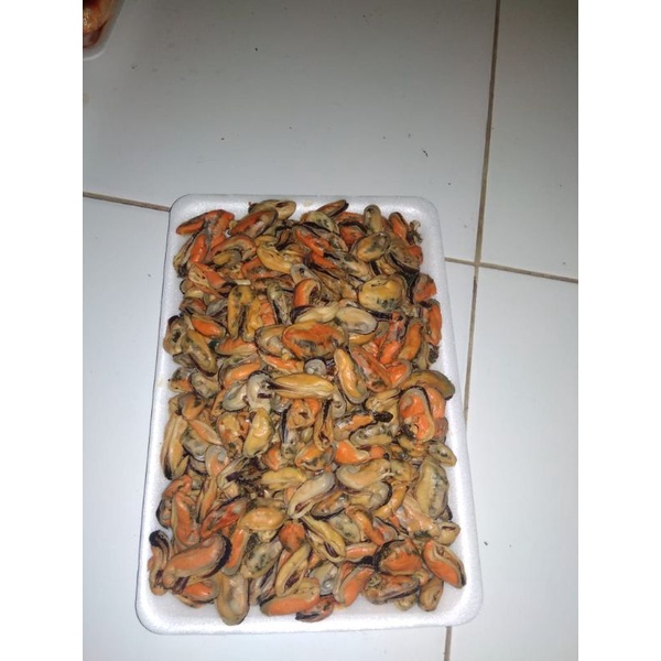 

Kerang Ijo