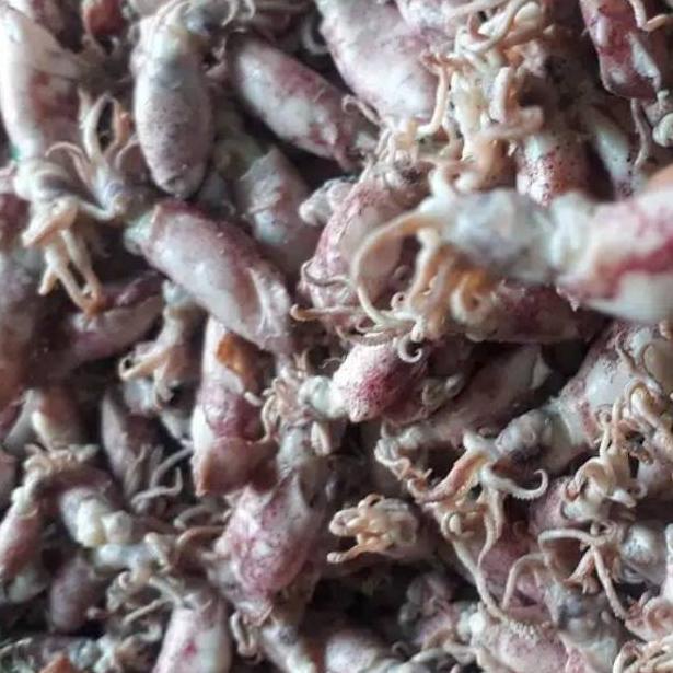 

DISKON !! Ikan asin cumi 250 gram [KODE 91]